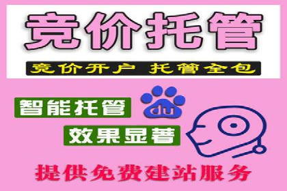成功秘诀：竞价推广公司案例深度解析
