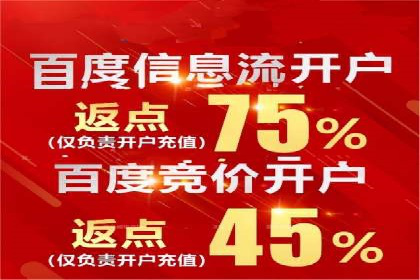 专业SEM代运营公司案例分析